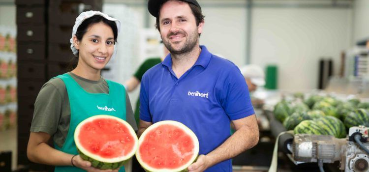 Benihort arranca su campaña de sandía con una previsión de 7 millones de kg