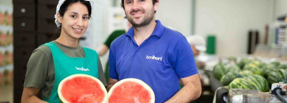 Benihort arranca su campaña de sandía con una previsión de 7 millones de kg