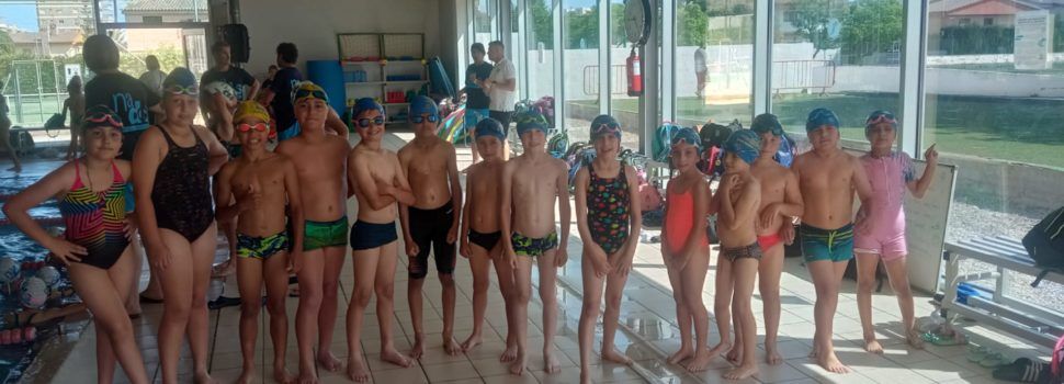El Club Natació Benicarló a la 6ª jornada aleví i festival Prebenjamí.