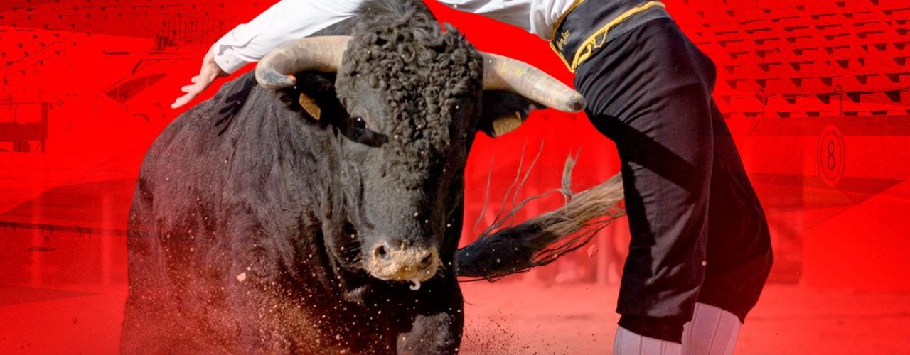 Deltebre ofrece el mejor concurso de recortadores del año en Catalunya