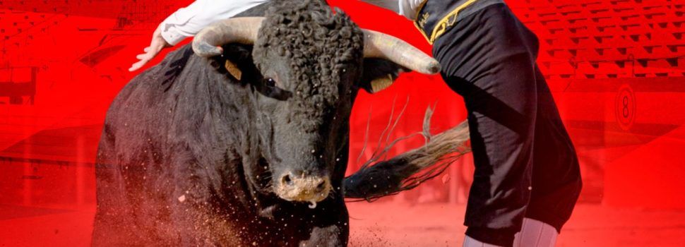 Deltebre ofrece el mejor concurso de recortadores del año en Catalunya
