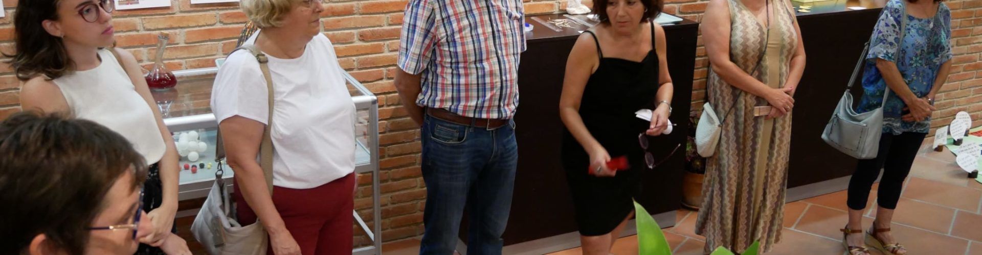 Exposició sobre volcà Tajogaite per Dolors Vidal a la Galera