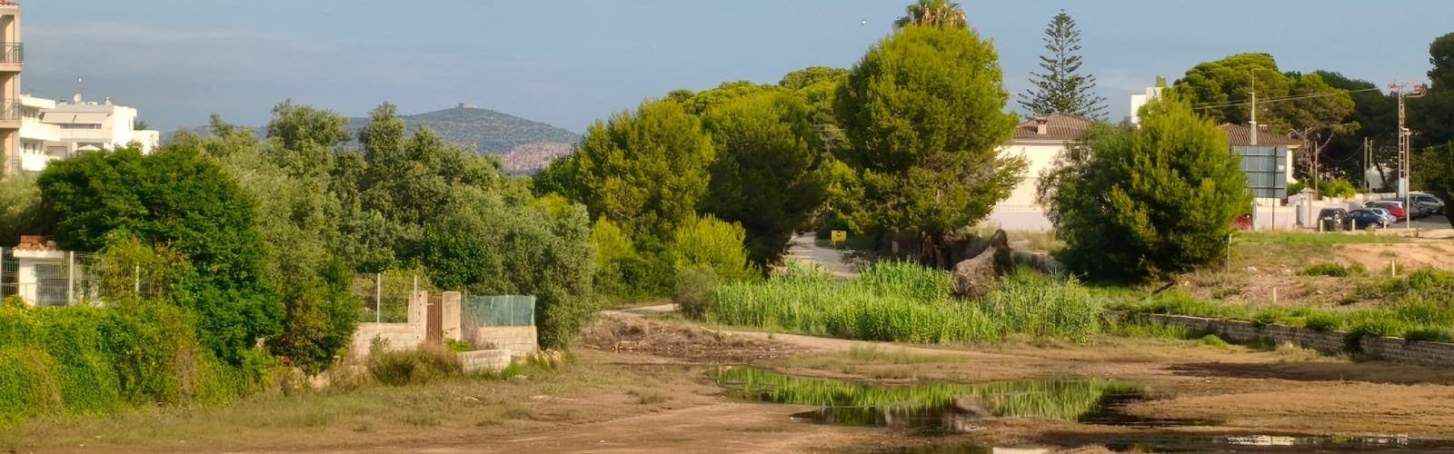 El “parte” del temps: podeu emprar els paraigües per a protegir-vos del sol