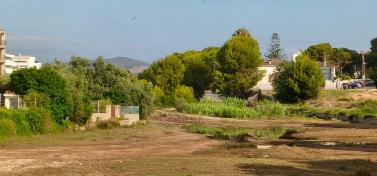 El “parte” del temps: podeu emprar els paraigües per a protegir-vos del sol