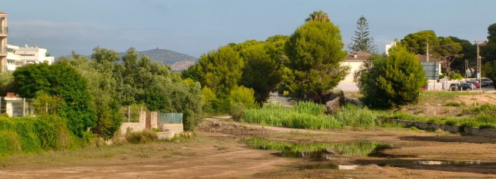 El “parte” del temps: podeu emprar els paraigües per a protegir-vos del sol