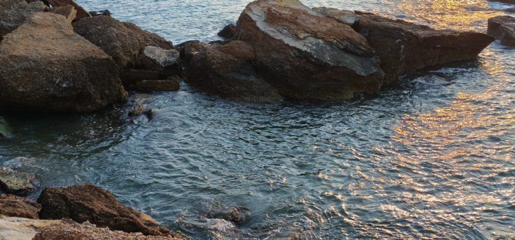 El “parte” del temps: tornen els sermons, avui refrescarem lo de les brises