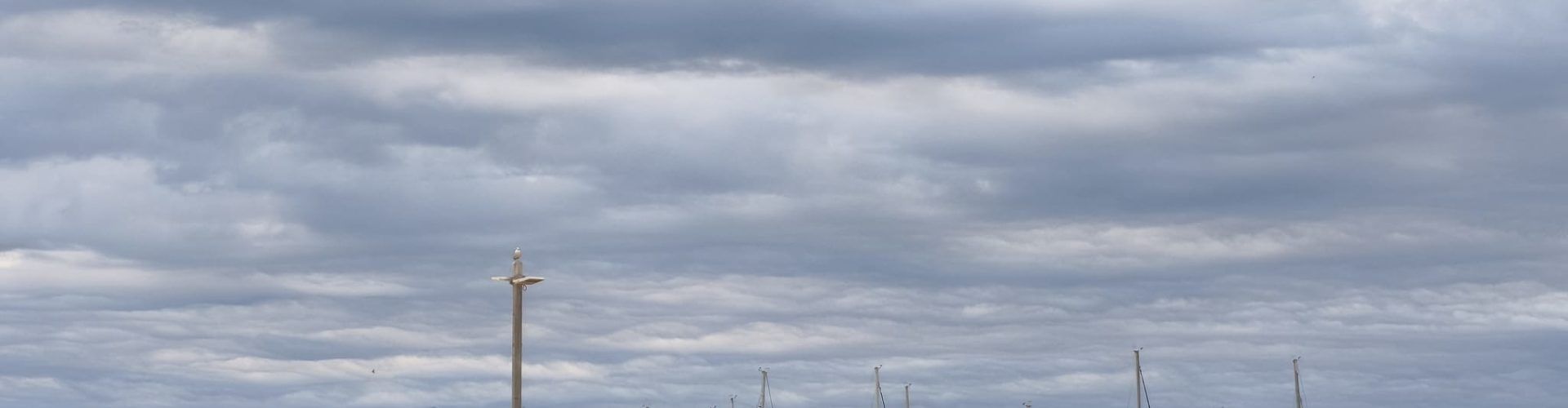 El “parte” del temps: es podrien repetir els fenòmens de pluja i tronades, així que al tanto l’americano