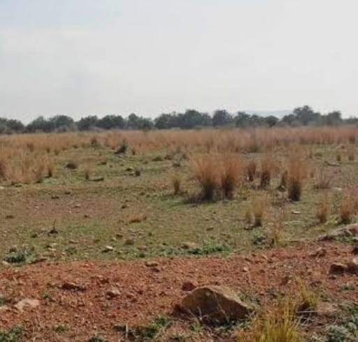 L’Ajuntament trau a la venda les parcel·les de Soterranyes no utilitzades des de fa més de 17 anys