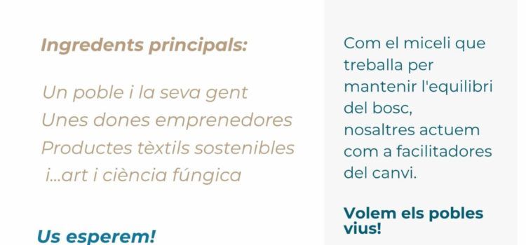 Portell busca dones emprenedores per recuperar el lideratge en la indústria tèxtil amb perspectiva de gènere i ecosocial