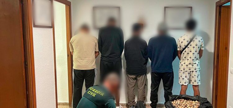 Detenidas en l’Aldea cinco personas por transportar 28 kg de adormidera