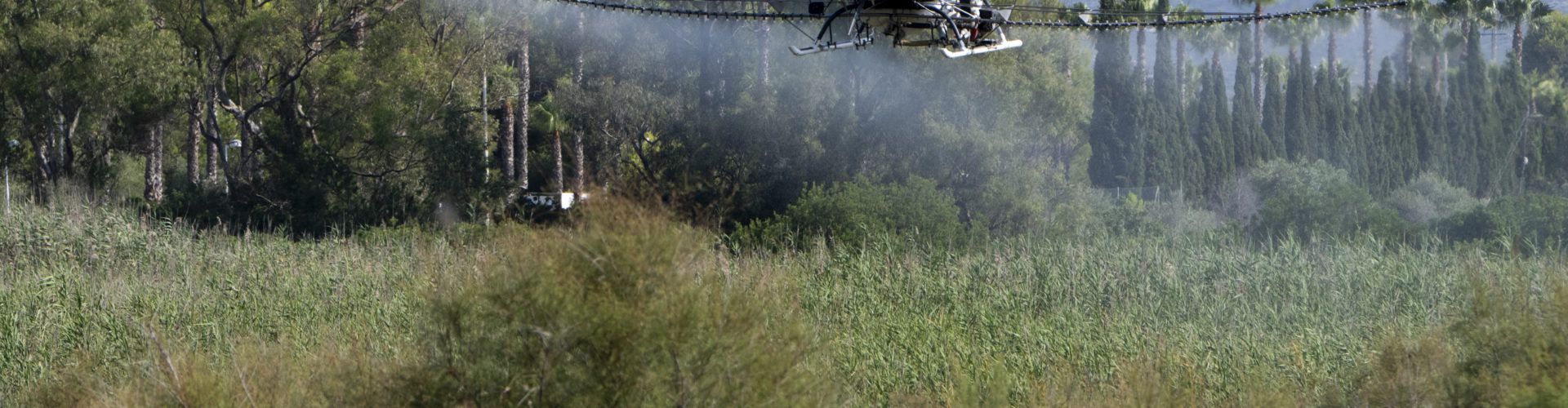 La Diputació intensifica la lluita contra els mosquits a Burriana, Benicàssim, Orpesa, Cabanes, Torreblanca i Peníscola