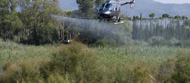 La Diputació intensifica la lluita contra els mosquits a Burriana, Benicàssim, Orpesa, Cabanes, Torreblanca i Peníscola