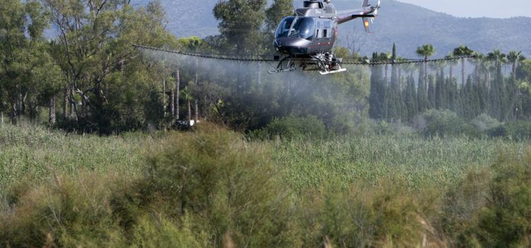 La Diputació intensifica la lluita contra els mosquits a Burriana, Benicàssim, Orpesa, Cabanes, Torreblanca i Peníscola