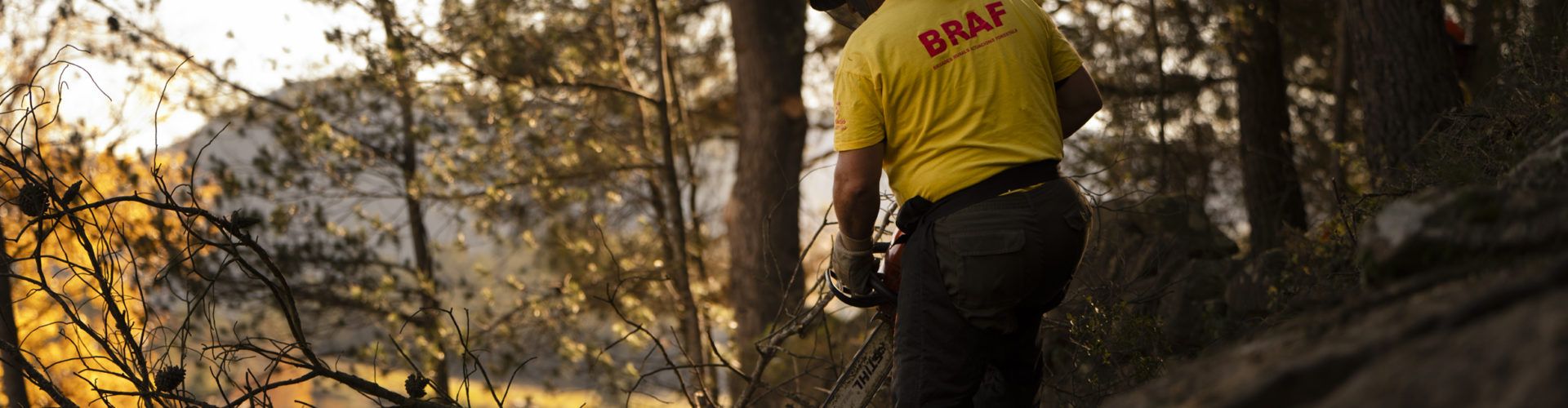 Les Brigades Rurals d’Actuació Forestal de la Diputació de Castelló, claus en la prevenció d’incendis a la província