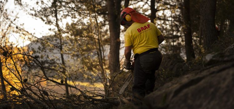 Les Brigades Rurals d’Actuació Forestal de la Diputació de Castelló, claus en la prevenció d’incendis a la província