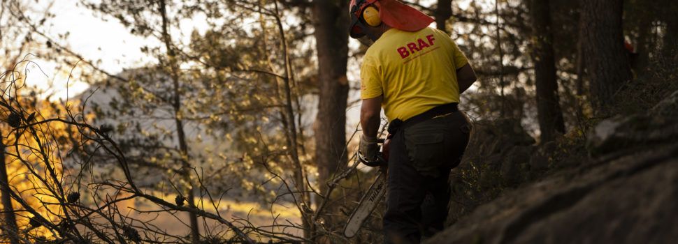 Les Brigades Rurals d’Actuació Forestal de la Diputació de Castelló, claus en la prevenció d’incendis a la província