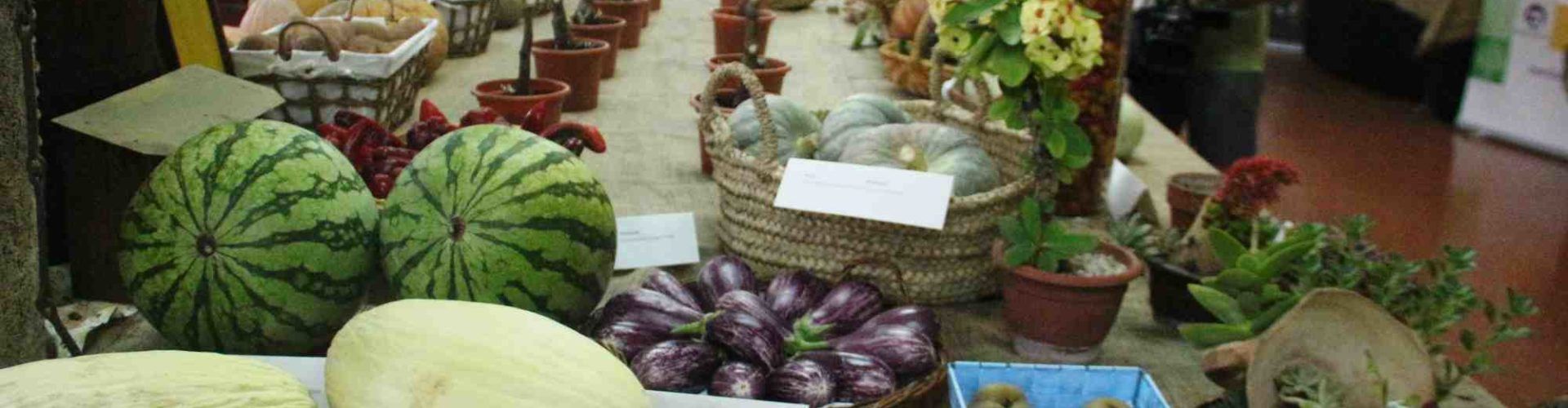 Benicarló clausura con éxito la exposición de productos del campo