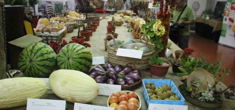 Benicarló clausura con éxito la exposición de productos del campo