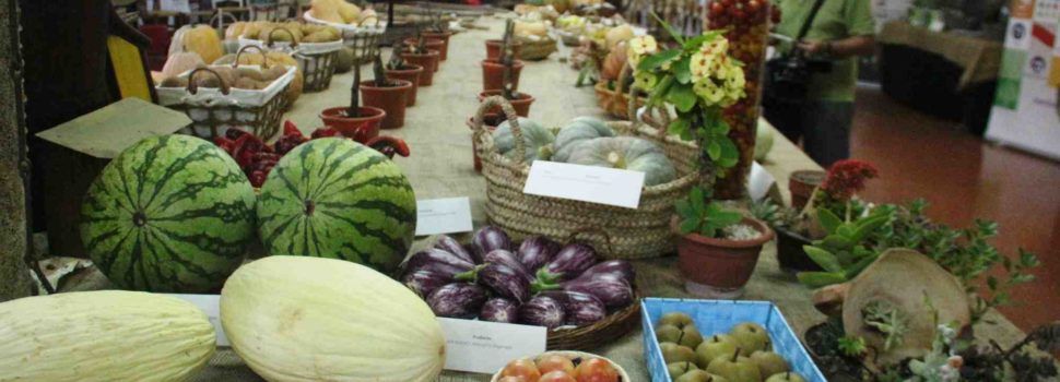 Benicarló clausura con éxito la exposición de productos del campo