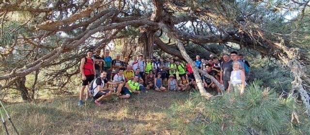 Mig centenar de penarrogins recorren els 27 quilòmetres de la rogativa septennal de Vallibona