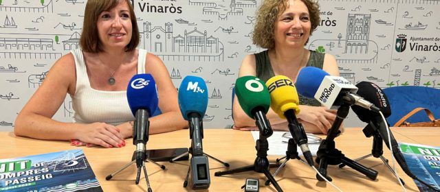 Nit de compres al passeig de Vinaròs