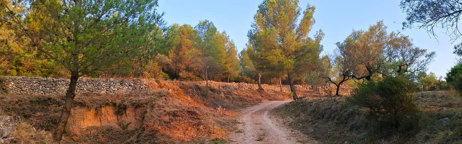 L’Ajuntament de Canet lo Roig neteja i desbrossa camins del terme per a la prevenció d’incendis