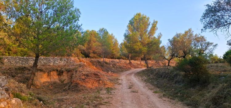 L’Ajuntament de Canet lo Roig neteja i desbrossa camins del terme per a la prevenció d’incendis