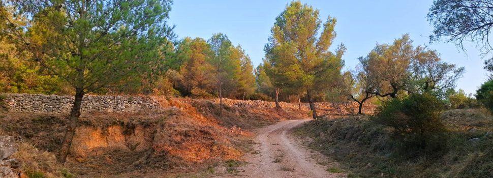 L’Ajuntament de Canet lo Roig neteja i desbrossa camins del terme per a la prevenció d’incendis