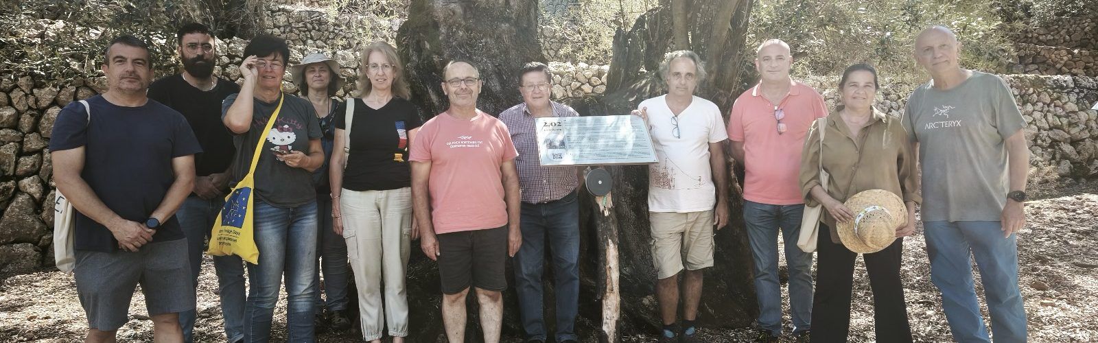 El Territori Sénia i la Serra de Tramuntana, units per les Oliveres Mil·lenàries
