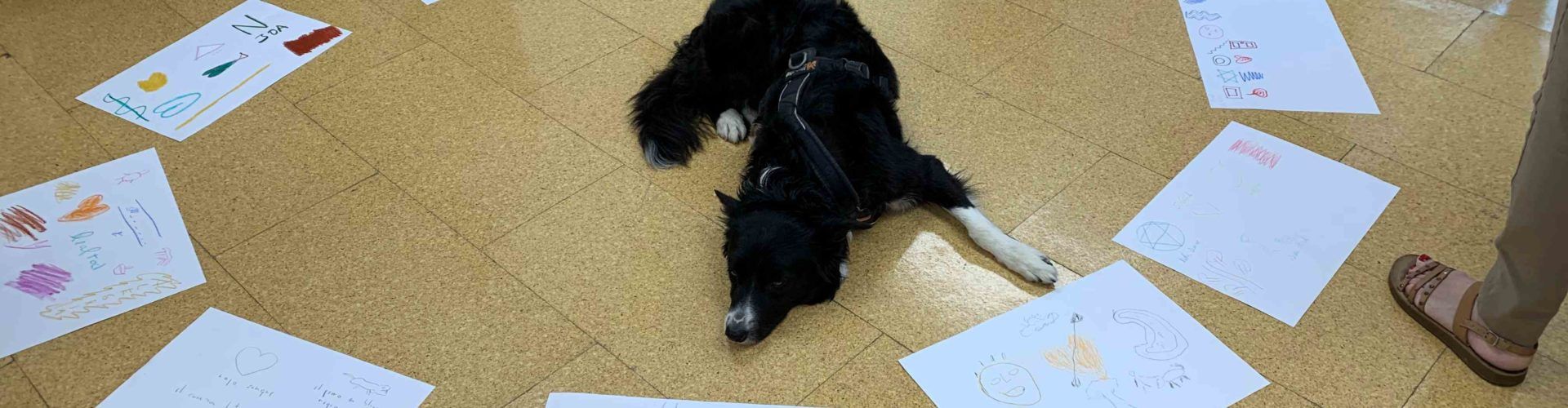 El CRISOL de Vinaròs conclou amb èxit un programa pioner d’Intervencions Assistides per Gossos