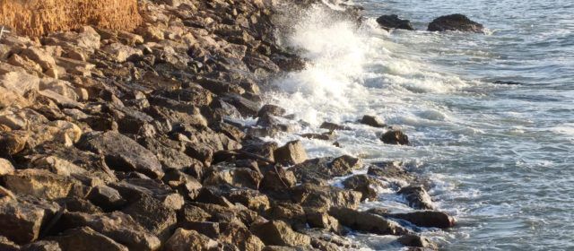 El “parte” del temps: demà, més calor, dilluns, termòmetres cap avall i dimarts, caldo