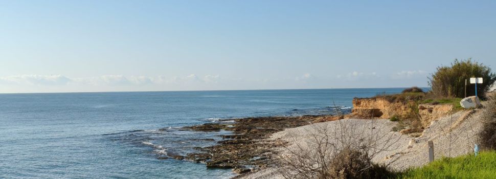 El “parte” del temps: ens tocarà aguantar “madera” fins dilluns