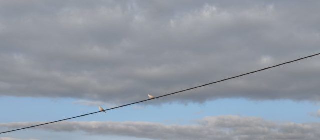 El “parte” del temps: demà ja començaria a baixar la temperatura