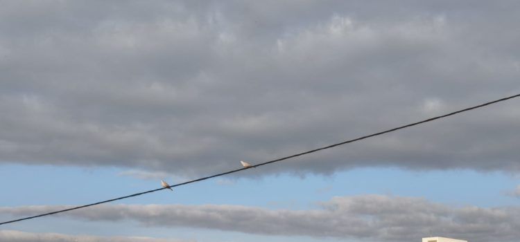El “parte” del temps: demà ja començaria a baixar la temperatura