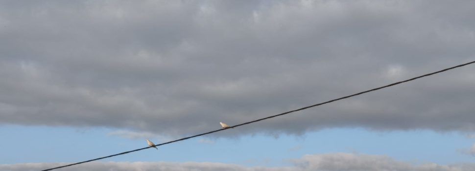 El “parte” del temps: demà ja començaria a baixar la temperatura