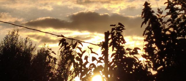 El “parte” del temps: demà es recuperarien un pelet les temperatures i dissabte prou més