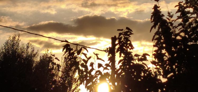 El “parte” del temps: demà es recuperarien un pelet les temperatures i dissabte prou més