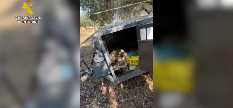 Investigado un vecino de la Sénia por la muerte de tres perros en una finca rural