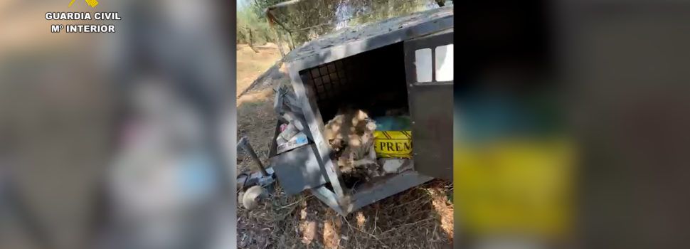 Investigado un vecino de la Sénia por la muerte de tres perros en una finca rural