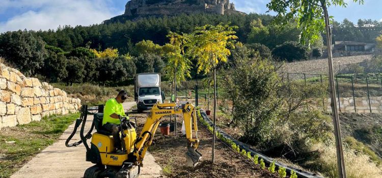 L’Ajuntament de Morella millora els voltants de la pista esportiva i exterior del poliesportiu