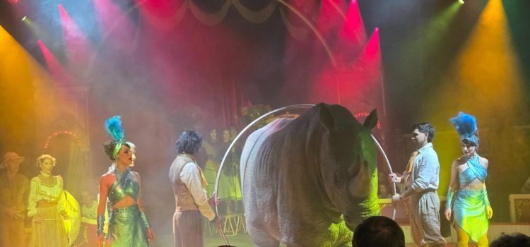 El Raluy Legacy sorprén en el debut a Vinaròs del seu espectacle CYBORG
