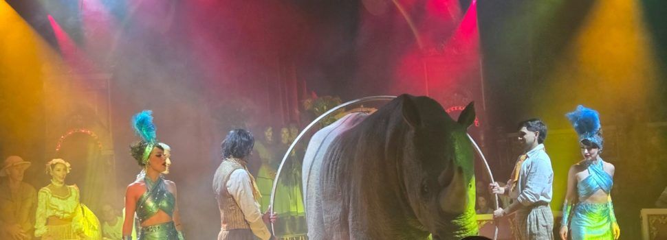El Raluy Legacy sorprén en el debut a Vinaròs del seu espectacle CYBORG