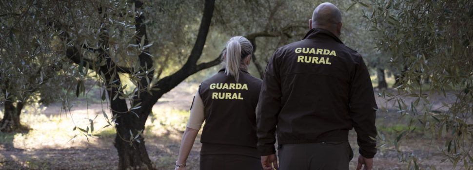 La Diputació de Castelló aposta per la seguretat en el camp amb la concessió d’ajudes destinades a 15 municipis per a la contractació de guardes rurals