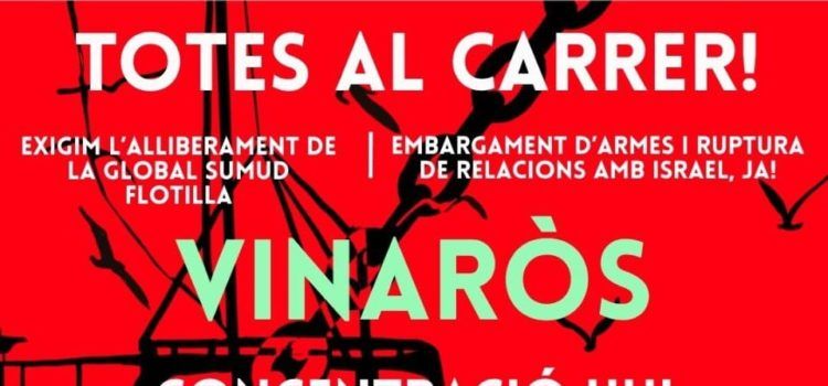 Concentració de protesta per l’assalt a “la flotilla”