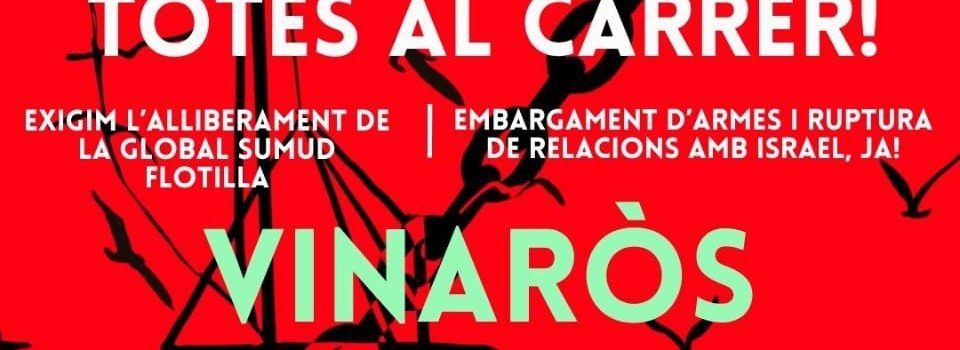 Concentració de protesta per l’assalt a “la flotilla”