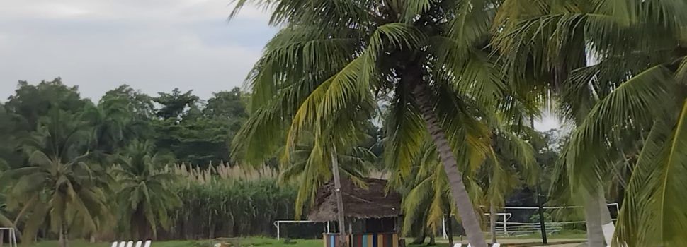 Recull de fotos de l’expedició vinarossenca a Guatemala i Hondures