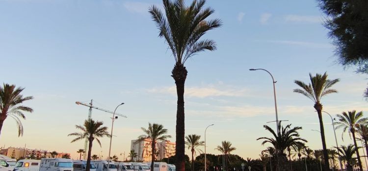 El “parte” del temps: demà si fa o no fa,  temperatures molt paregudes a les d’avui