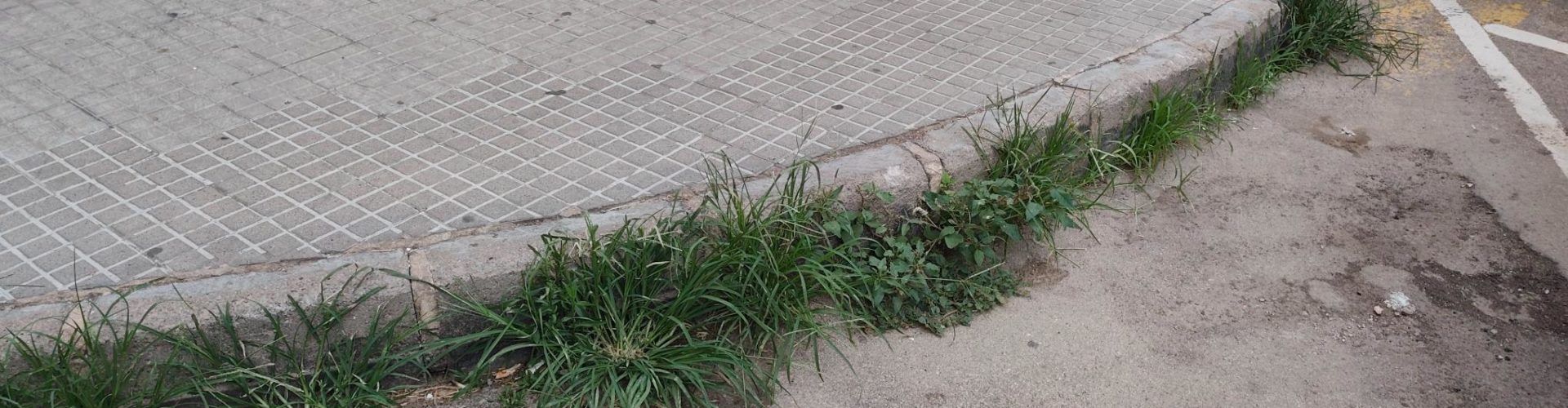 Vora l’Ebre: Caminar per Amposta