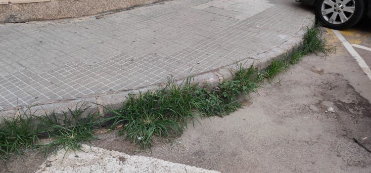 Vora l’Ebre: Caminar per Amposta