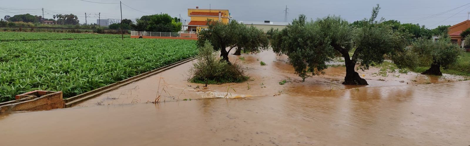El Camí de Sant Gregori, a Benicarló, inundat per la pluja